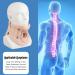 Universal Soft Foam Neck Support Pillow - Relieve Neck Pain & Spine Pressure | Ideal for Sleep | International Shipping - Buy Online on GoSupps.com
