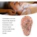 Human Ear Acupuncture Points Model - Transparent PVC Learning Tool for Home Use | Universal Acupuncture Anatomy - Buy Online on GoSupps.com