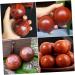 Healeved Solid Wood Massage Balls - 2-St Disk Set for Hand Roller Therapy Circulation & Meditation - Rosewood 5x5cm - Buy Online on GoSupps.com