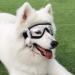 PETLESO Dog Goggles Large Eye Protection Dog Sunglasses for Middle/Large Dogs Clear - Buy Online on GoSupps.com