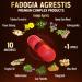 23400mg Fadogia Agrestis 10 in 1 Supplement with Maca, Tribulus, Horny Goat Weed - Energy & Stamina Booster for Men & Women - Buy Online on GoSupps.com