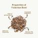 Valerian Root Tea Organic 100g (50 Cups) | Valerian Pure Cut Root Loose Herb Tea | Valeriana officinalis REPLANTEA - Buy Online on GoSupps.com
