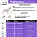 Pawpawify Dog Harness - Anti-Pull Personalized Name & Phone Durable XL (32-44in) for Training & Walking - Purple - Buy Online on GoSupps.com