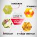 ARTERIN Cholesterol - Herbal Supplement Added Plant Sterols and Vitamin C - 90 Tablets - Buy Online on GoSupps.com