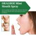 Soin Buccal la Menthe Fra che Spray Rafra chissant La Menthe Spray Haleine Fraiche Professionnelle Fresh Breath Sprays Buccal La Menthes Avec Sprays Soin De La Bouche 10ml - Buy Online on GoSupps.com