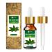 Salvia Bay Laurel Leaf Oil (Laurus Nobilis) 100% Pure & Natural Undiluted Essential Oil 30ml/1.01fl oz