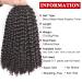 XTrend 7 Packs Passion Twist Hair - 12 Crochet Bohemian Curl Synthetic Braids - 18 Strands/Package 2# - International Shipping Available - Buy Online on GoSupps.com