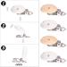 Pack of 15 Wooden Pacifier Clips - Durable Fasteners for Baby Pacifiers & Clothing - International Shipping - Buy Online on GoSupps.com