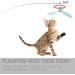 Cobee Interactive Cat Toys - Refillable Feather Propeller Rods with Bells | Perfect for Indoor Cats - Blue & Pink - Buy Online on GoSupps.com