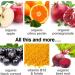 Organic Apple Cider Vinegar Gummies - Eniva Health 60 Ct | Vegan Non-GMO Detox Immunity Booster - Buy Online on GoSupps.com