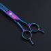 Professional 8 Twin Tail Chunker Shear for Pet Grooming - Thinning/Blending Scissors for Dogs & Cats - Buy Online on GoSupps.com