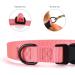 Audwud Thick Nylon Dog Collar - Adjustable Neck Band for Small Medium & Large Dogs - Baby Pink 4 Sizes Available - Buy Online on GoSupps.com