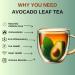 HerbLk Avocado Leaves - 100% Pure Natural Dried Leaves for Tea - Caffeine-Free Sugar-Free Gluten-Free - Organic Herbal Tea for Digestion & Antioxidant Support - 125 Leaves - Buy Online on GoSupps.com