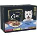 CESAR Senior 10+ Deliciously Fresh Wet Dog Food Pouches Aged Dogs Mixed Selection in Jelly Suitable for Senior Dogs Aged 10+ Pack of 4 (4 x 12 Pouches x 100 g) - Buy Online on GoSupps.com