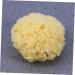 POPETPOP Sponges Bath Sponge Shower Sponge Seaweed Sponge Algae Sponge Baby Aldult - Buy Online on GoSupps.com