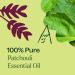 Buy Plant Therapy Patchouli Essential Oil 100% Pure - Therapeutic Grade Aromatherapy 30 mL Worldwide Shipping - Buy Online on GoSupps.com