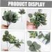 LIFKICH 24pcs Floral Arrangement Decor Artificial Eucalyptus Picks Artificial Eucalyptus Branch Faux Spray Eucalyptus Leaves Stems Greenery Stems Plant Decor Pu Christmas Leaf Branch As Shown 28.00X12.00X8.00CM - Buy Online on GoSupps.com