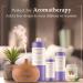 Buy Plant Guru Eat It Raw Fragrance Oil 8 fl. oz - Aromatherapy Scented Oil for DIY Soap Candles Bath Bombs & Reed Diffusers - International Shipping Available - Buy Online on GoSupps.com