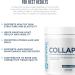 Revive MD CollaPURE Collagen Peptides Powder for Women & Men Unflavored - Type I & Type III Grass-Fed Collagen Supplements for Hair Skin Nails Bones & Joint Health - No Fillers (30 Servings) - Buy Online on GoSupps.com