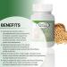 Soy Lecithin 1200mg Softgels - Total Natural Brain & Heart Health Support | Cholesterol, Liver & Kidney Supplement - 200 Count - Buy Online on GoSupps.com