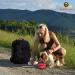 SunGrow Collapsible Treats & Water Bowls for Ferrets, Finches, Parakeets, and Baby Chickens - Portable Pet Travel Dish and Feeder - Buy Online on GoSupps.com