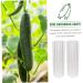 Milisten Garden Fruit Mould 2pcs Vegetable Shaping Mold Cucumbers Cucumber Shaping Mold Vegetable Shaper Mold Planting Supplies - Buy Online on GoSupps.com