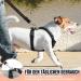 Buy Slowton No Pull Dog Harness - Soft Padded & Breathable for Small to Medium Dogs - XXXS Black - International Shipping Available - Buy Online on GoSupps.com