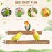 Reyshin 4-Piece Nature Birds Budgie Playground & Nibble Toys | Bird Accessories with 5 Rat Balls for Canaries & Lovebirds - Buy Online on GoSupps.com