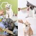 5 Organic Catnip Sticks for Teeth Cleaning - Cat Dental Care Chewing Toy Set - Buy Online on GoSupps.com