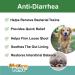 Anti Diarrhea Liquid for Dogs - Dog Diarrhea Relief with Kaolin (4 oz.) - Buy Online on GoSupps.com