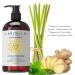 Laritelle Organic Shampoo & Conditioner Set - Promotes Hair Growth, Prevents Hair Loss - Argan Oil, Rosemary, Ginger, Cedarwood - 17oz + 16oz - Non-GMO, Sulfate, Gluten, Alcohol, Paraben, Phthalate-Free - Buy Online on GoSupps.com