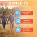 MaryRuth's Probiotic Turmeric + Extra GI - 62 Billion CFU - Organic Turmeric Complex with Probiotics - Digestion Support - Vegan - 60 ct - Buy Online on GoSupps.com