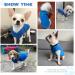 PETCARE Blue XL Small Dog Sweater - Fleece Vest with Leash O-Ring for Small Dogs & Cats - Winter Warm Pet Pullover Coat for Chihuahua & Shih Tzu - Puppy Clothes & Costume (17-28 lbs) - Buy Online on GoSupps.com