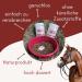 Petgold MSM Horse Powder 1000g | High Dose Sulfur Methylsulfonylmethane for Dogs & Horses - Buy Online on GoSupps.com