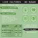 HOLOS Kombucha Soda - Apple & Elderflower - 250ml x 12 cans - No Sugar Live Cultures Vegan Gluten Free - Buy Online on GoSupps.com