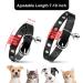 Personalized Leather Cat Collar with Bell and Rhinestone - Adjustable Safety Collar for Cats and Kittens (Black, 7-10 Inch) - Buy Online on GoSupps.com