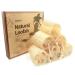 6Pack Natural Loofah Sponge Gentle Exfoliation with The Shower Luffa Scrubber Unveil Your Skin's Natural Beauty