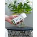The Cheeky Panda Bamboo Handkerchiefs - Eco-Friendly Plastic-Free Tear-Resistant - 10 Pack for On-the-Go Convenience - Buy Online on GoSupps.com
