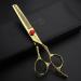 Buy Golden Professional 6 Inch & 7 Inch Hairdressing Scissors Set - Premium Hair Cutting & Thinning Scissors for Stylists - International Shipping Available - Buy Online on GoSupps.com