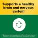 Nature Made Flush Free Niacin 500mg Softgels - Nervous System Support - 60 Day Supply - Buy Online on GoSupps.com