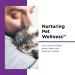 Nutri-Vet Anti-Diarrhea Liquid for Cats 4oz | Detoxifying Agent, Soothes Upset Stomach & Stops Diarrhea - Buy Online on GoSupps.com