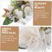 TOVINANNA Bridal Hair Accessories Wedding Bride Hair Comb Tuck Comb Women Headdress Wedding Hair Comb Women Hair Comb Hair Decoration Hair Comb for Bride Flower Shape Hair Decor - Buy Online on GoSupps.com