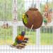 Natural Coconut Bird Hammock with Perch, Swing, and Mirror for Parakeets, Conures, and Cockatiels - Buy Online on GoSupps.com