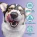 Burns Pet Natural Nutrition Adult and Senior Wet Dog Food - Wild Fish, Carrots, Organic Brown Rice - 12 x 150gm - Buy Online on GoSupps.com