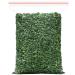 Mulberry leaf tea 200g -Fried mulberry leaves after frost-Tea fragrance 200g