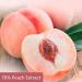 Shop Peach Skincare Sets for Teen Girls | Complete 7-in-1 Facial Care Routine with Moisturizer Cleanser Face Mask & More - Ideal for Women - Buy Online on GoSupps.com