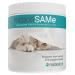 maxxipaws maxxiSAMe Advanced SAM-e Liver and Cognitive Supplement for Cats Given with Food Powder 90 g 90 count (Pack of 1)