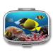 Pill Box Tropical Fish Print 2 Compartment Medicine Pill Case Pill Organizer Decorative Metal Portable Pill Box for Pocket Or Purse Style