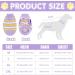Jodsen Small Dog Jumper Knitted Dog Pullover Warm Puppy Sweater Knitwear Cat Puppy Turtleneck Knitting Sweater Autumn Winter Puppy Stripe Sweater Welsh Corgi Yorkshire Terrier Chihuahua (M Purple) M Purple - Buy Online on GoSupps.com
