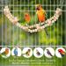 Vegena Bird Toys Set of 8 - Colorful Wooden Ladder Toys & Landing Pads for Budgies Parrots Finches & More - Premium Cage Accessories - Buy Online on GoSupps.com